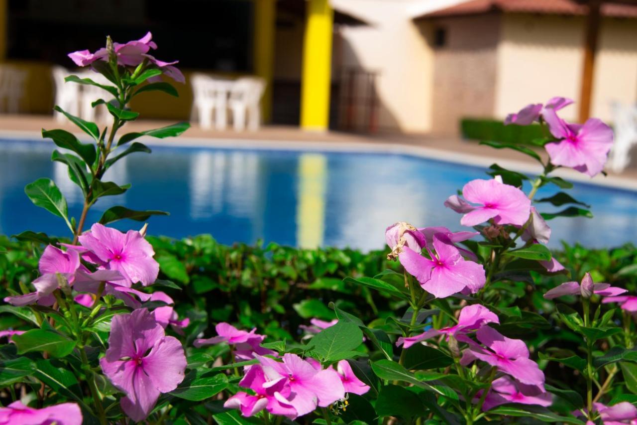 Deluxe Suites Guacamayos - Eco-Lodge & Swimming Pool Бонао Экстерьер фото